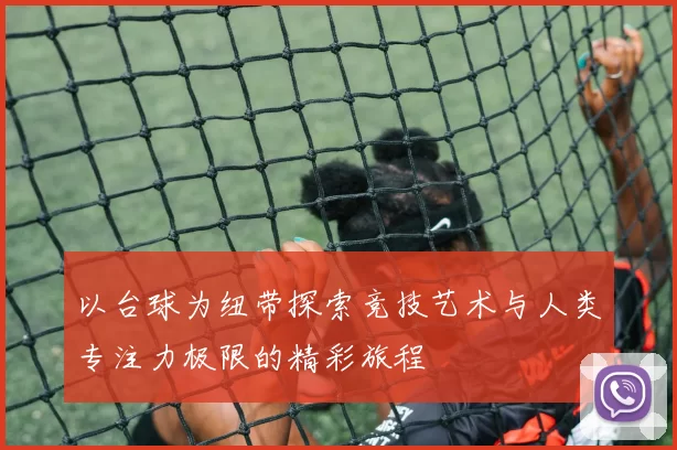 以台球为纽带探索竞技艺术与人类专注力极限的精彩旅程